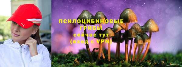 mix Сатка