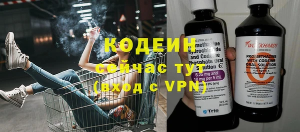 apvp Бородино