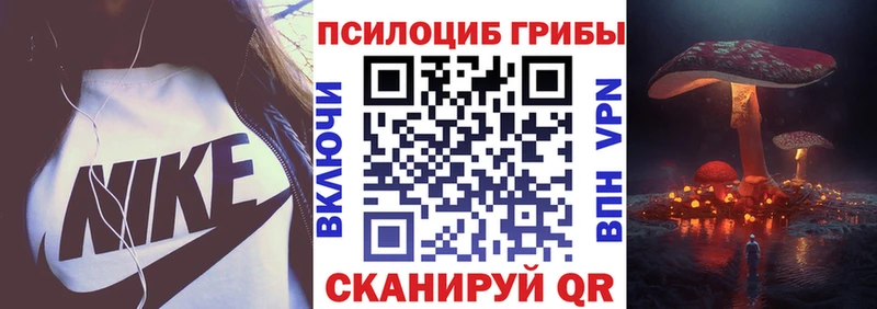 где можно купить наркотик  Кизляр  Псилоцибиновые грибы Psilocybe 